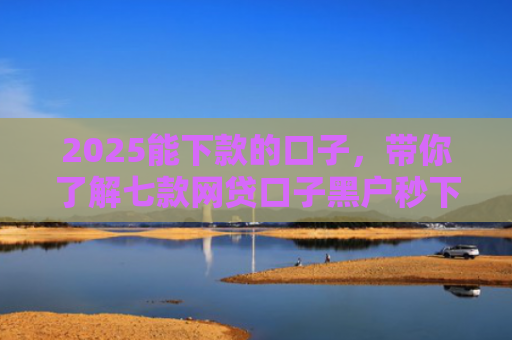 2025能下款的口子，带你了解七款网贷口子黑户秒下款