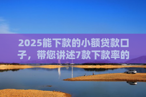 2025能下款的小额贷款口子，带您讲述7款下款率的网贷口子