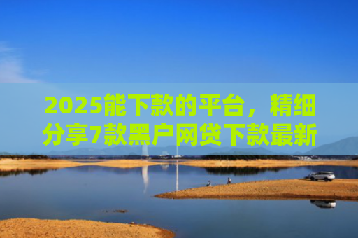 2025能下款的平台，精细分享7款黑户网贷下款最新口子