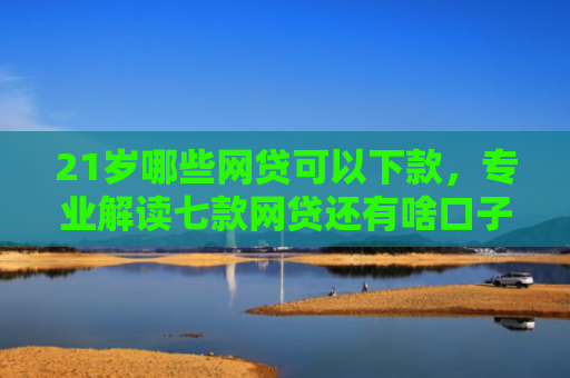 21岁哪些网贷可以下款，专业解读七款网贷还有啥口子能下款