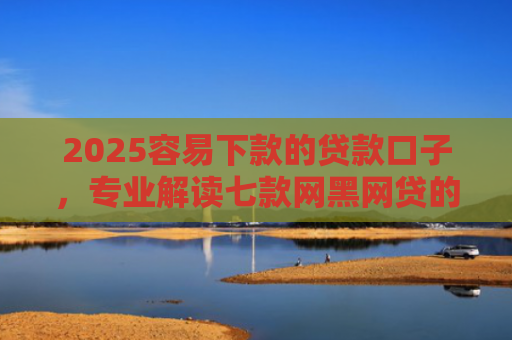 2025容易下款的贷款口子，专业解读七款网黑网贷的下款口子