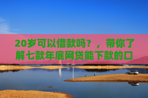 20岁可以借款吗？，带你了解七款年底网贷能下款的口子