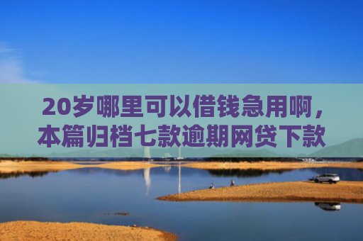 20岁哪里可以借钱急用啊，本篇归档七款逾期网贷下款有什么口子