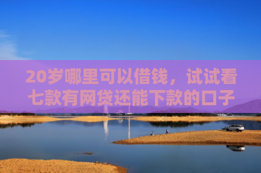 20岁哪里可以借钱，试试看七款有网贷还能下款的口子