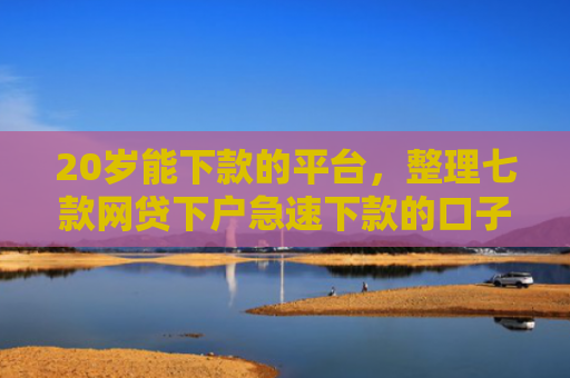 20岁能下款的平台，整理七款网贷下户急速下款的口子