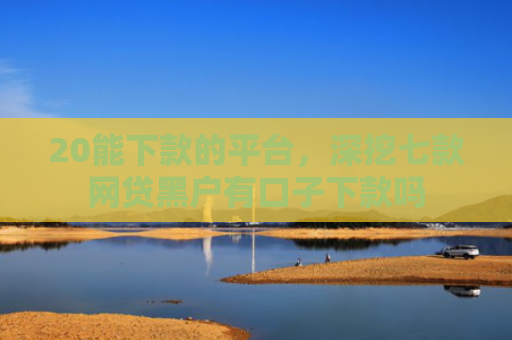 20能下款的平台，深挖七款网贷黑户有口子下款吗