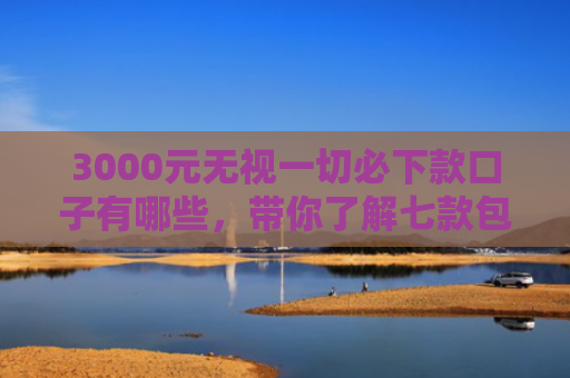 3000元无视一切必下款口子有哪些，带你了解七款包下包下款的网贷口子
