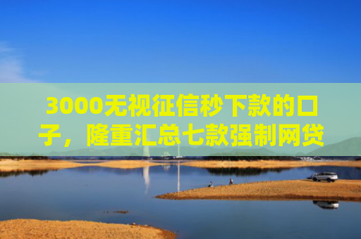 3000无视征信秒下款的口子，隆重汇总七款强制网贷还能下款的口子