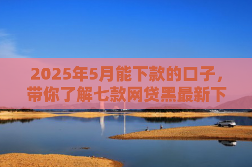 2025年5月能下款的口子，带你了解七款网贷黑最新下款口子