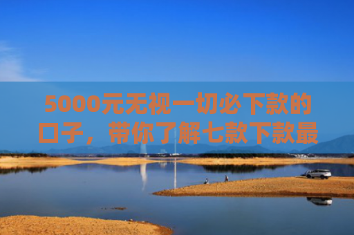 5000元无视一切必下款的口子，带你了解七款下款最快的网贷口子排行