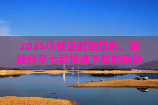 2025小贷还能放款的，精细分享七款快速下款的网贷小口子