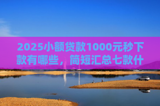 2025小额贷款1000元秒下款有哪些，简短汇总七款什么网贷秒下款新口子