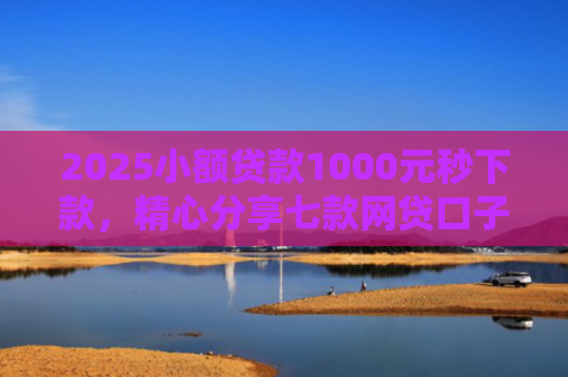 2025小额贷款1000元秒下款，精心分享七款网贷口子怎么填下款高