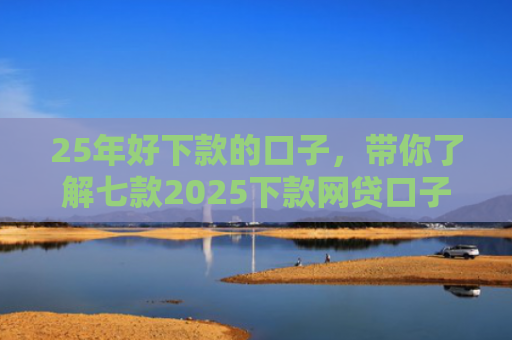 25年好下款的口子，带你了解七款2025下款网贷口子