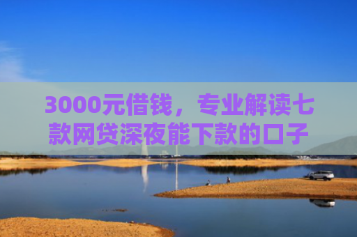 3000元借钱，专业解读七款网贷深夜能下款的口子