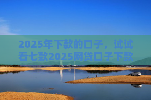 2025年下款的口子，试试看七款2025网贷口子下款的