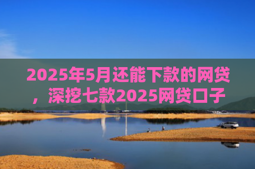 2025年5月还能下款的网贷，深挖七款2025网贷口子下款快