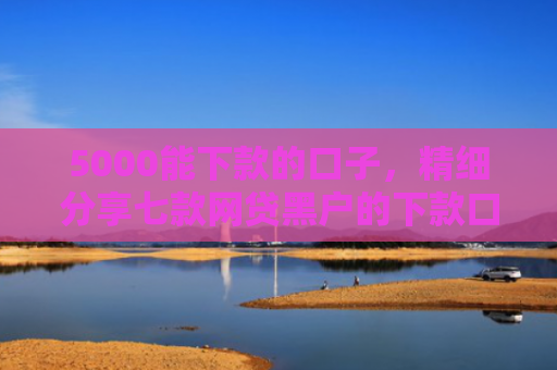 5000能下款的口子，精细分享七款网贷黑户的下款口子论坛