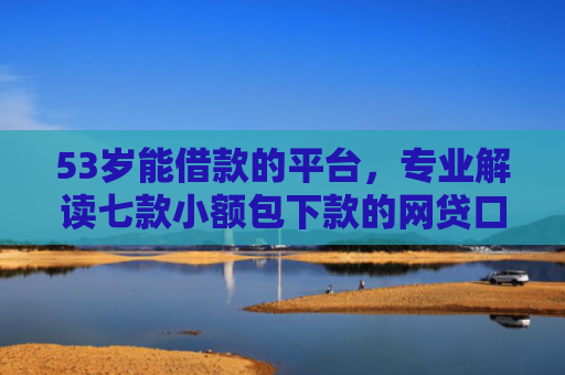 53岁能借款的平台，专业解读七款小额包下款的网贷口子