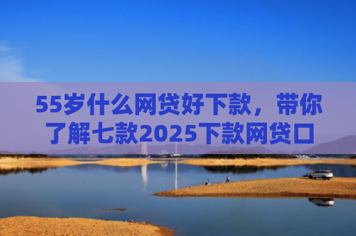 55岁什么网贷好下款，带你了解七款2025下款网贷口子