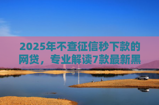 2025年不查征信秒下款的网贷，专业解读7款最新黑户网贷下款口子
