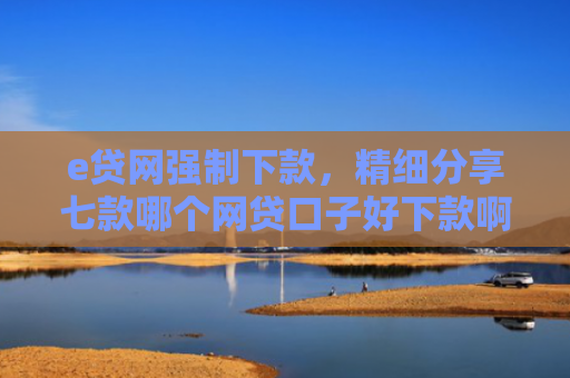 e贷网强制下款，精细分享七款哪个网贷口子好下款啊