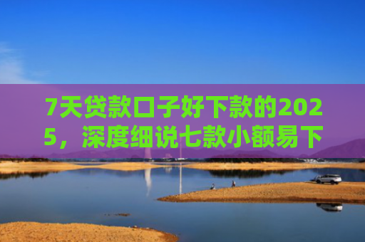 7天贷款口子好下款的2025，深度细说七款小额易下款的网贷口子