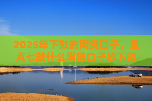 2025年下款的网贷口子，盘点七款什么网贷口子秒下款