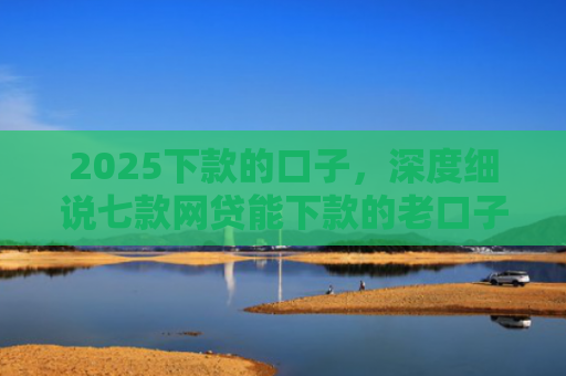 2025下款的口子，深度细说七款网贷能下款的老口子