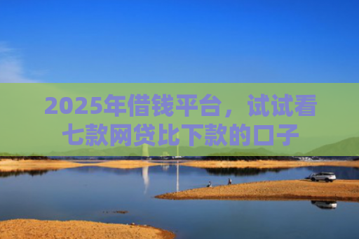 2025年借钱平台，试试看七款网贷比下款的口子