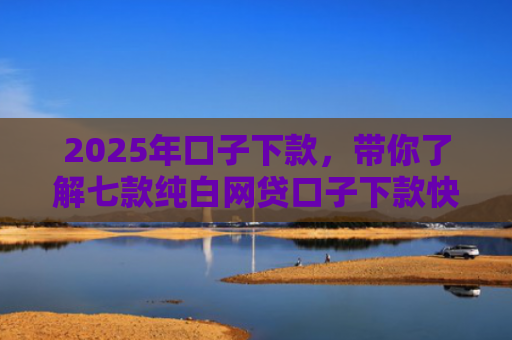 2025年口子下款，带你了解七款纯白网贷口子下款快