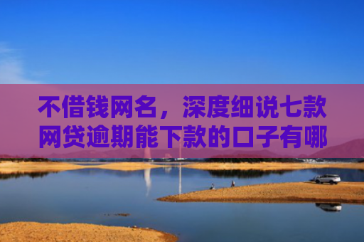 不借钱网名，深度细说七款网贷逾期能下款的口子有哪些