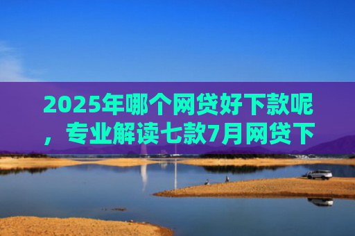 2025年哪个网贷好下款呢，专业解读七款7月网贷下款口子