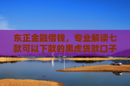 东正金融借钱，专业解读七款可以下款的黑虎贷款口子
