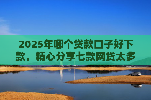 2025年哪个贷款口子好下款，精心分享七款网贷太多易下款口子