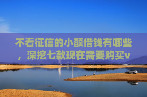不看征信的小额借钱有哪些，深挖七款现在需要购买vip下款的网贷口子