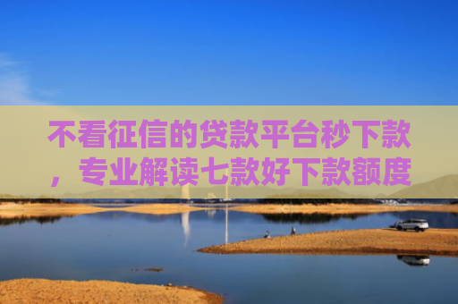 不看征信的贷款平台秒下款，专业解读七款好下款额度大的网贷口子