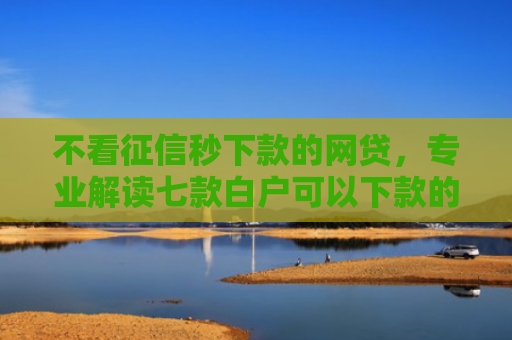 不看征信秒下款的网贷，专业解读七款白户可以下款的网贷口子