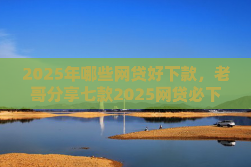 2025年哪些网贷好下款，老哥分享七款2025网贷必下款口子