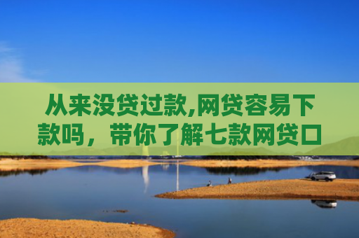 从来没贷过款,网贷容易下款吗，带你了解七款网贷口子好下款的平台有哪些