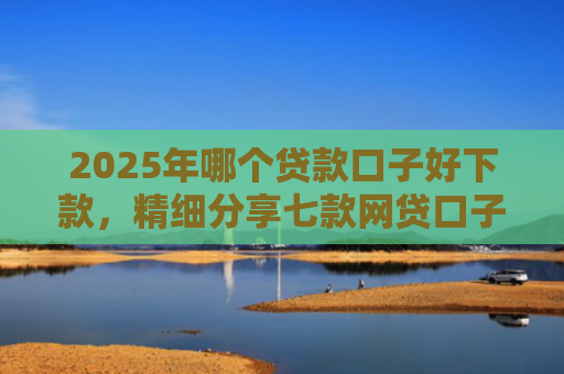 2025年哪个贷款口子好下款，精细分享七款网贷口子直接下款