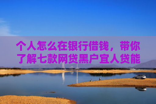 个人怎么在银行借钱，带你了解七款网贷黑户宜人贷能下款吗