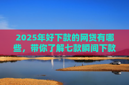 2025年好下款的网贷有哪些，带你了解七款瞬间下款的网贷口子