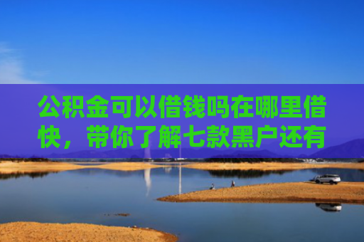 公积金可以借钱吗在哪里借快，带你了解七款黑户还有什么网贷下款