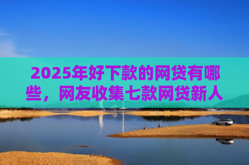 2025年好下款的网贷有哪些，网友收集七款网贷新人下款口子