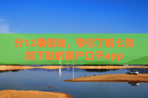 分12期借钱，带你了解七款能下款的黑户口子app