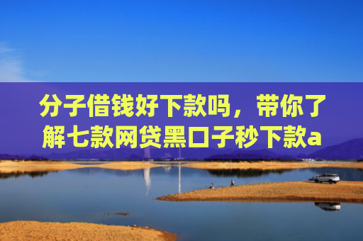 分子借钱好下款吗，带你了解七款网贷黑口子秒下款app入口