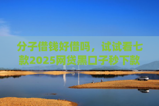 分子借钱好借吗，试试看七款2025网贷黑口子秒下款app