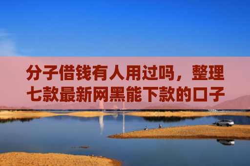 分子借钱有人用过吗，整理七款最新网黑能下款的口子app