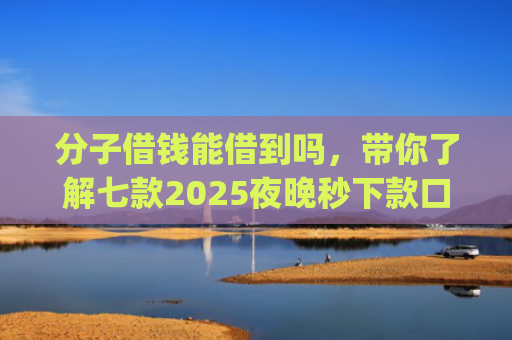 分子借钱能借到吗，带你了解七款2025夜晚秒下款口子app